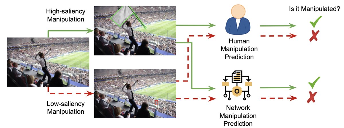 Bias and Explainability in Image Forensics